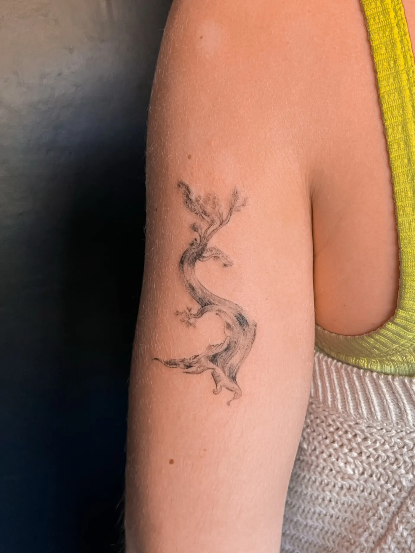 Water · Fire · Wood · Metal · Earth tattoo by Liahn — 11