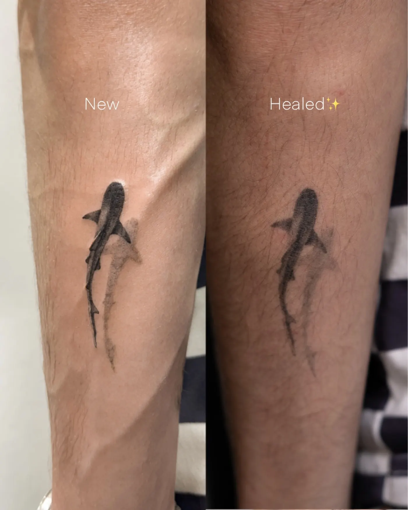 Healed tattoo by Liahn — 02